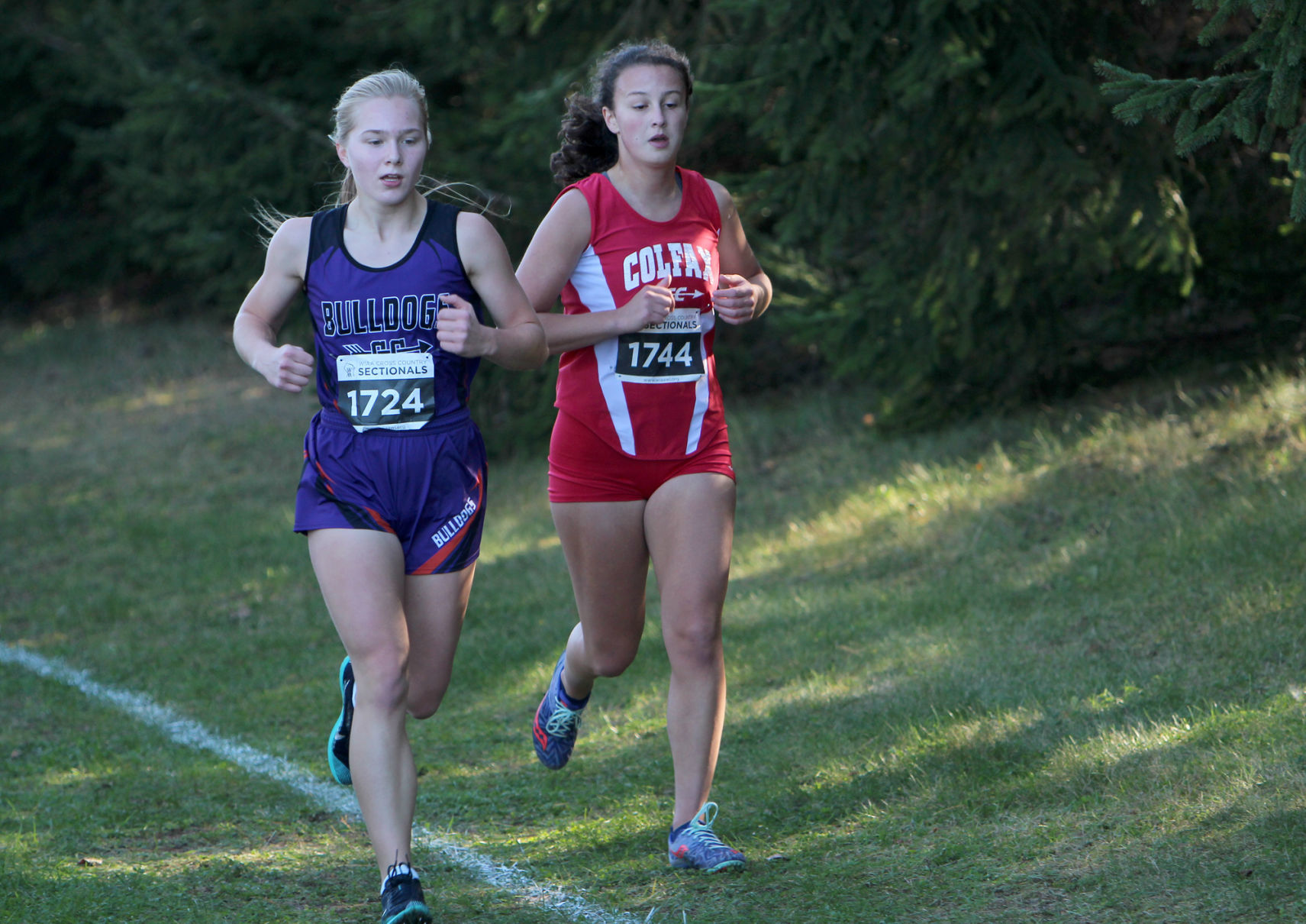 Division 3 Cross Country Sectionals in Boyceville 10-26-19